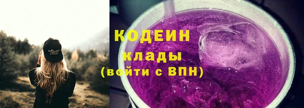 крисы Баксан