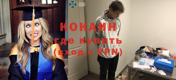 крисы Баксан