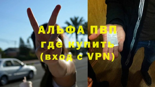 крисы Баксан