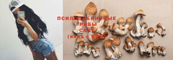 мдпв Балахна
