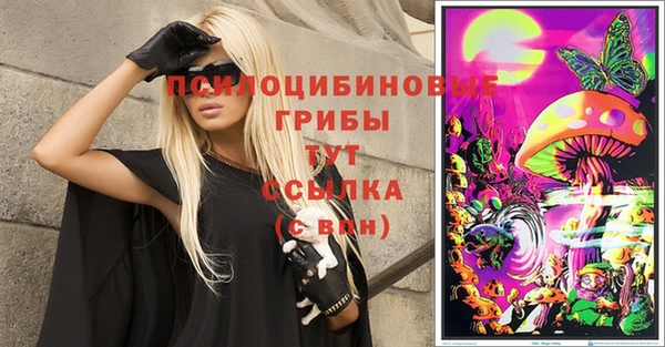 крисы Баксан