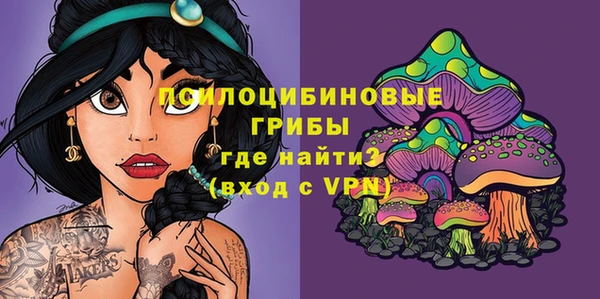 мдпв Балахна