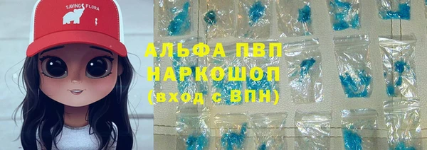 крисы Баксан
